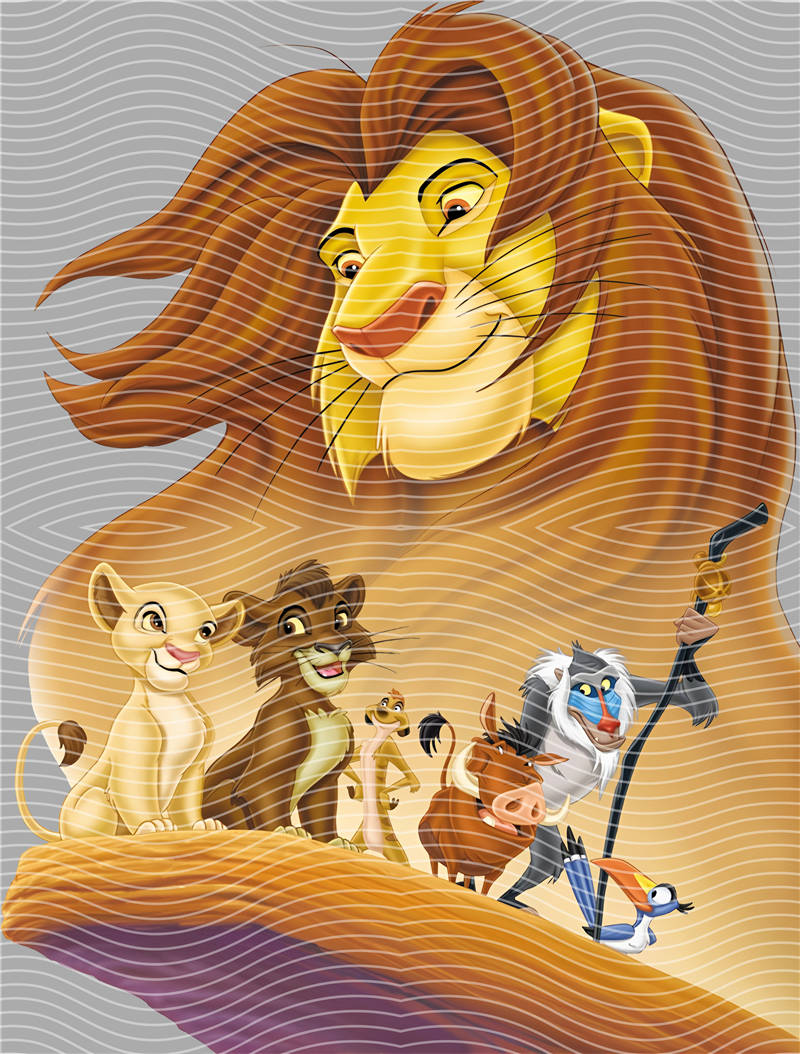 Disney-DS 503